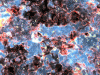 Epoch of re-ionisation