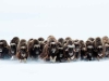 Veolia Environnement Wildlife Photographer of the Year