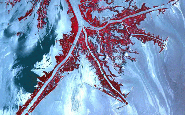 In this NASA image of the Deepwater horizon spill, the oil appears silver while the vegetation is red. Image: Jesse Allen/NASA/GSFC/METI/ERSDAC/JAROS, and U.S./Japan ASTER Science Team