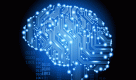 Teenage brains in the digital world Teenage brains in the digital world