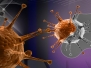 Collection of viruses and bacteria
