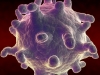 Common cold