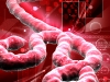 Ebola