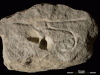 Juxtaposition of engraved phallus and an anneau gouged into the block's surface