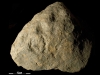 Vulvar engraving and cup marks
