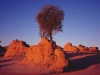 walls-of-china-1