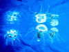 AquaJelly