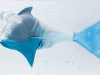 Airacuda