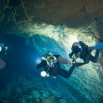 Deep sea dives reveal new ocean species