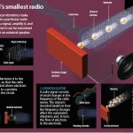 World’s smallest radio may cure blindness, detect harmful chemicals