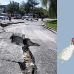 Video: Six months of New Zealand’s seismic activity in less than a minute