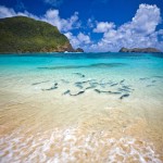 Hit the road: Natural seclusion on Lord Howe Island
