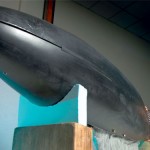 Bio-mimicking robot fish slices through water