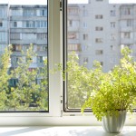 Green your home: Indoor gardens for urban dwellers