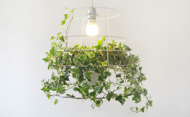 lamp