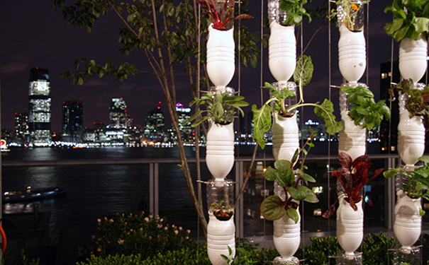 windowfarms2