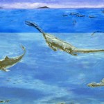 Fossils in South West China reveal lost world