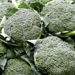 The secret of broccoli’s cancer fighting powers