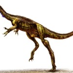 New dinosaur predator discovered