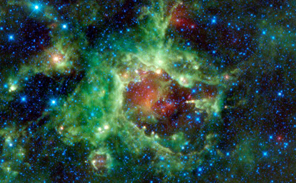 space-trunk