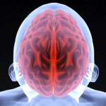 Hormone injections improve the memory