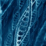 Second oldest genetic mutation discovered