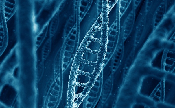 dna