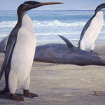 First complete look at a prehistoric penguin