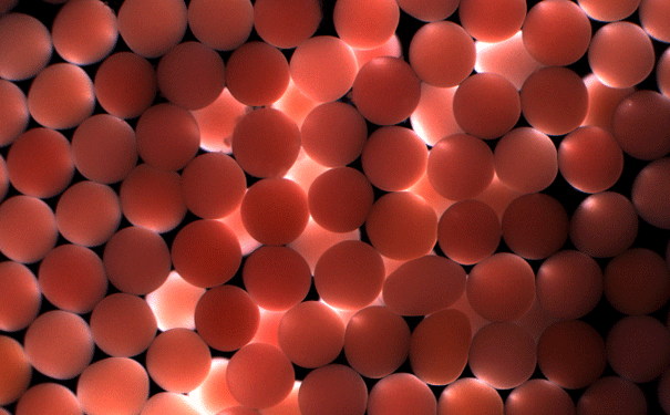 Spawned-eggs-of-Acropora-tenuis