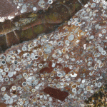 Tiny spherules reveal asteroid impact history