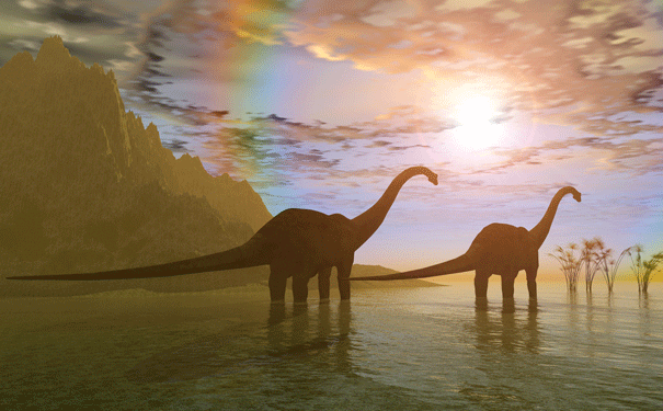 diplodocus