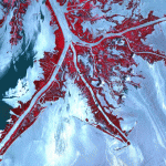 Tiny solution for oil spills