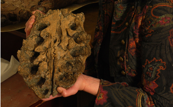 pliosaur