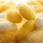 Silk: the future of engineering