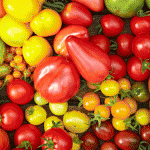 Tomato genome sequenced