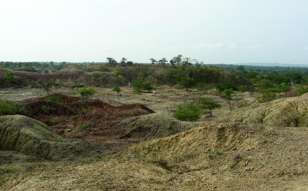 Site