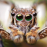 I’m watching you