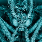 Wellcome Image Awards 2012