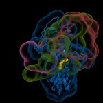 First images of the common cold virus