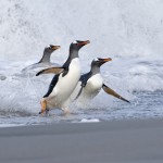 Antarctica under threat