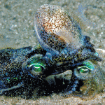 Heavy mating has a cost