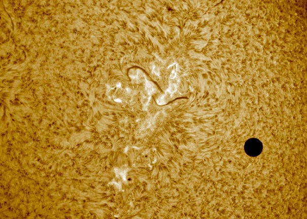 TransitofVenus