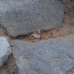Ancient Roman fortification discovered in Germany