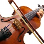 Fungi treatment produces Stradivarius-worthy sounds