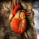 This is how a heart becomes a heart