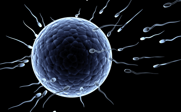 epub Interdependencies Between Fertility