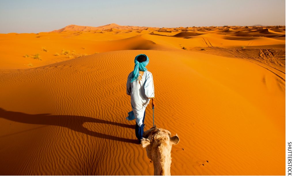 The Sahara will be fertile in 10,000 years Science Illustrated