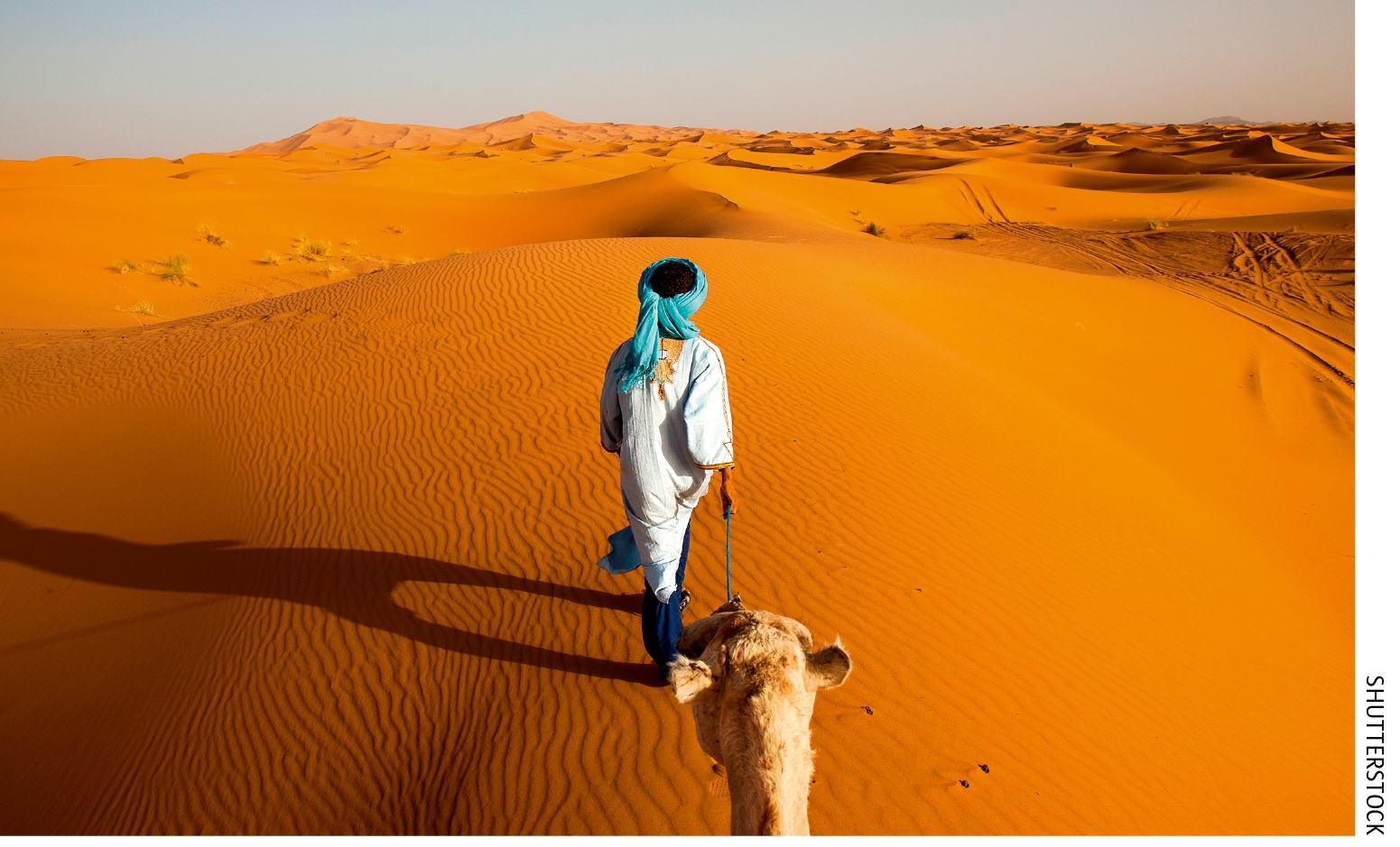 The Sahara Will Be Fertile In 10 000 Years Science Illustrated