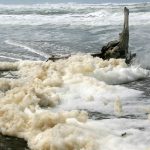 What is beach ‘foam’?
