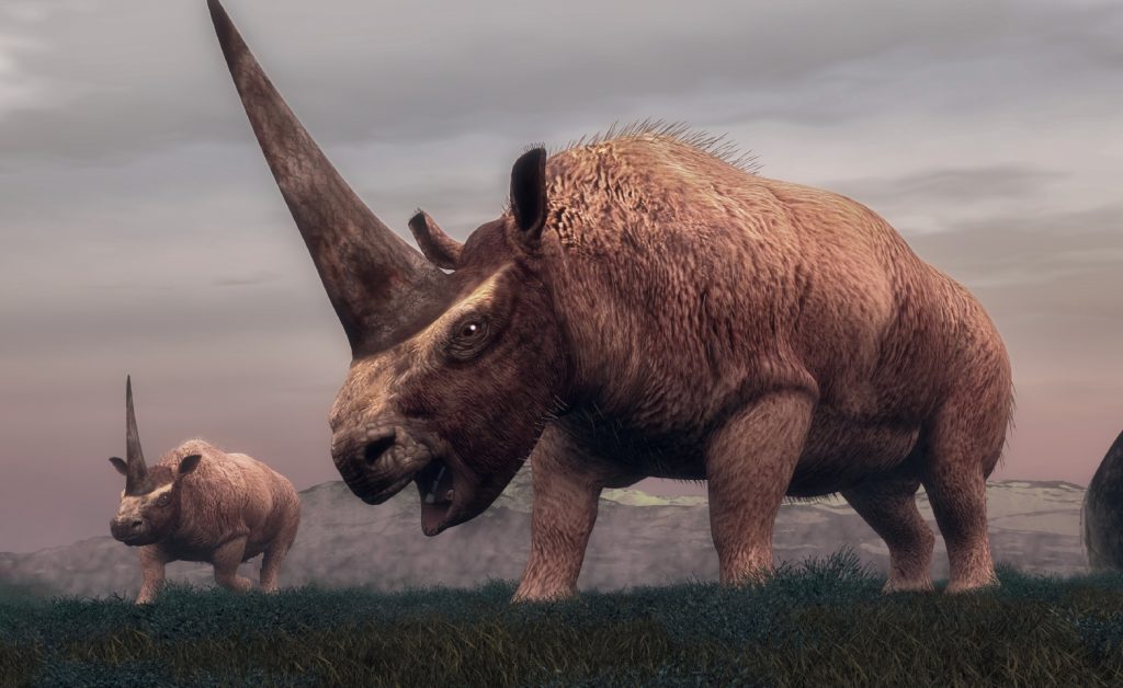 Our ancestors hunted a Siberian unicorn Science Illustrated